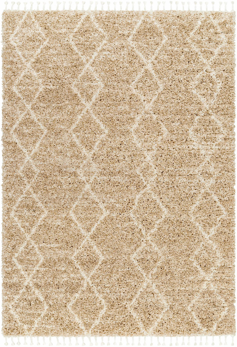 Ishan Area Rug - Clearance by Boutique Rugs