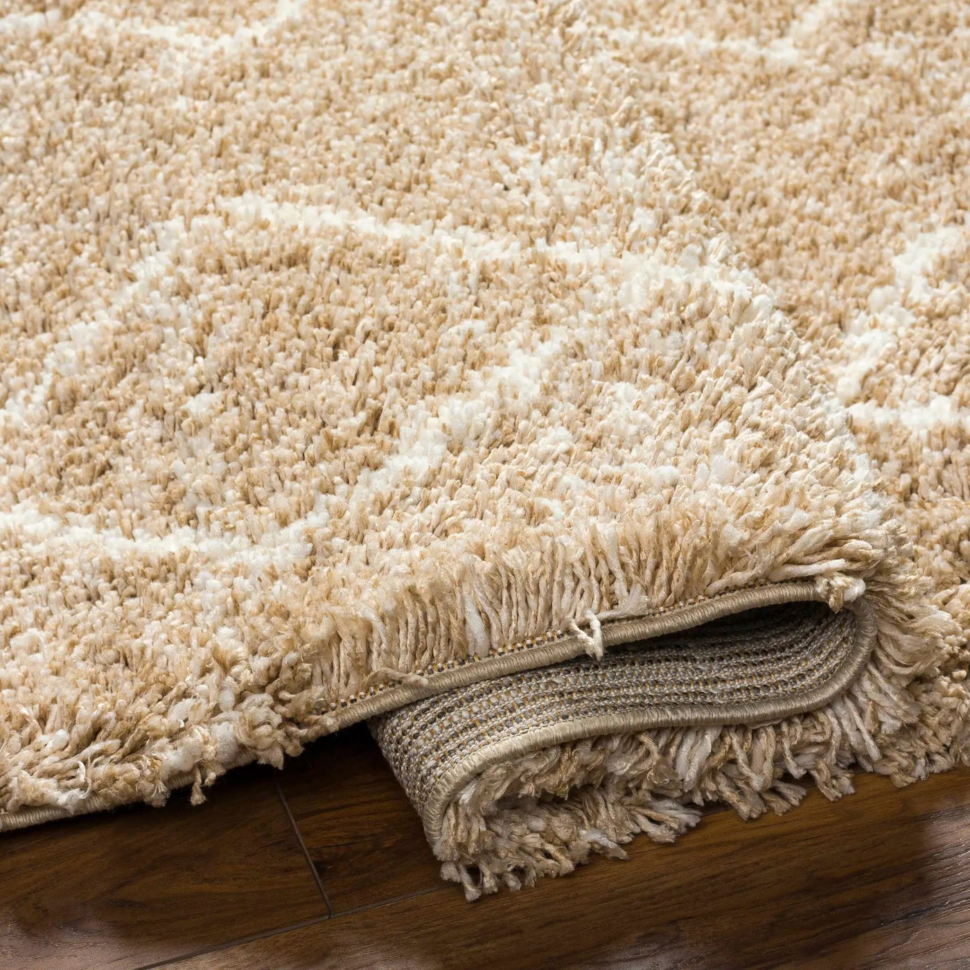 Ishan Area Rug - Clearance by Boutique Rugs