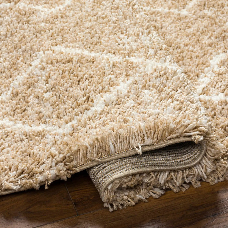 Ishan Area Rug - Clearance by Boutique Rugs