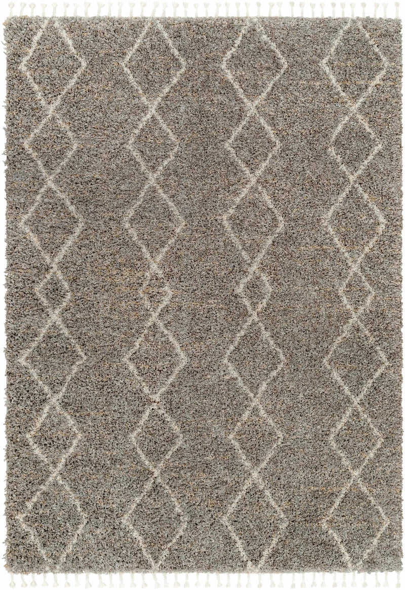 Ishan Taupe Area Rug - Clearance by Boutique Rugs