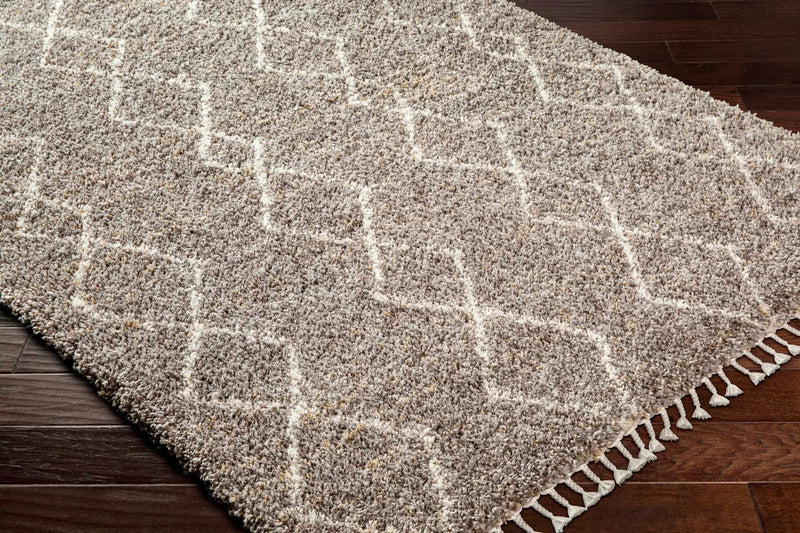 Ishan Taupe Area Rug - Clearance by Boutique Rugs