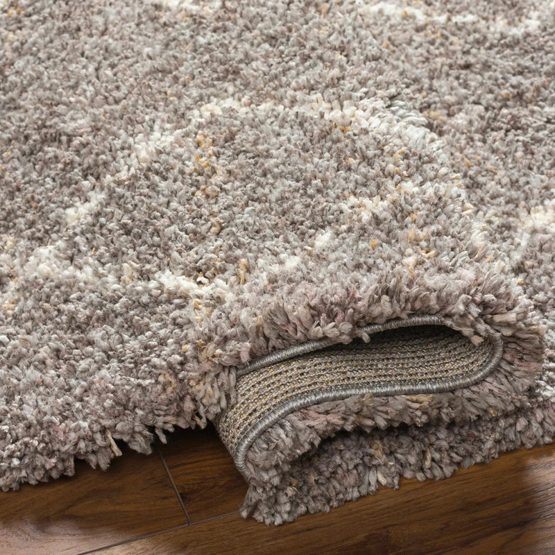Ishan Taupe Area Rug - Clearance by Boutique Rugs