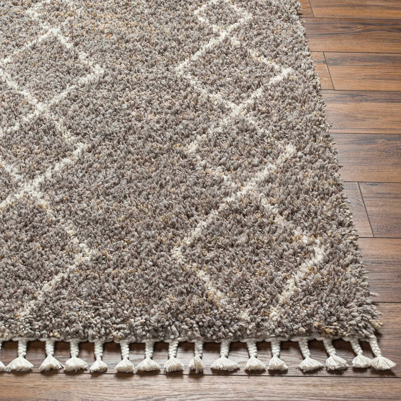 Ishan Taupe Area Rug - Clearance by Boutique Rugs