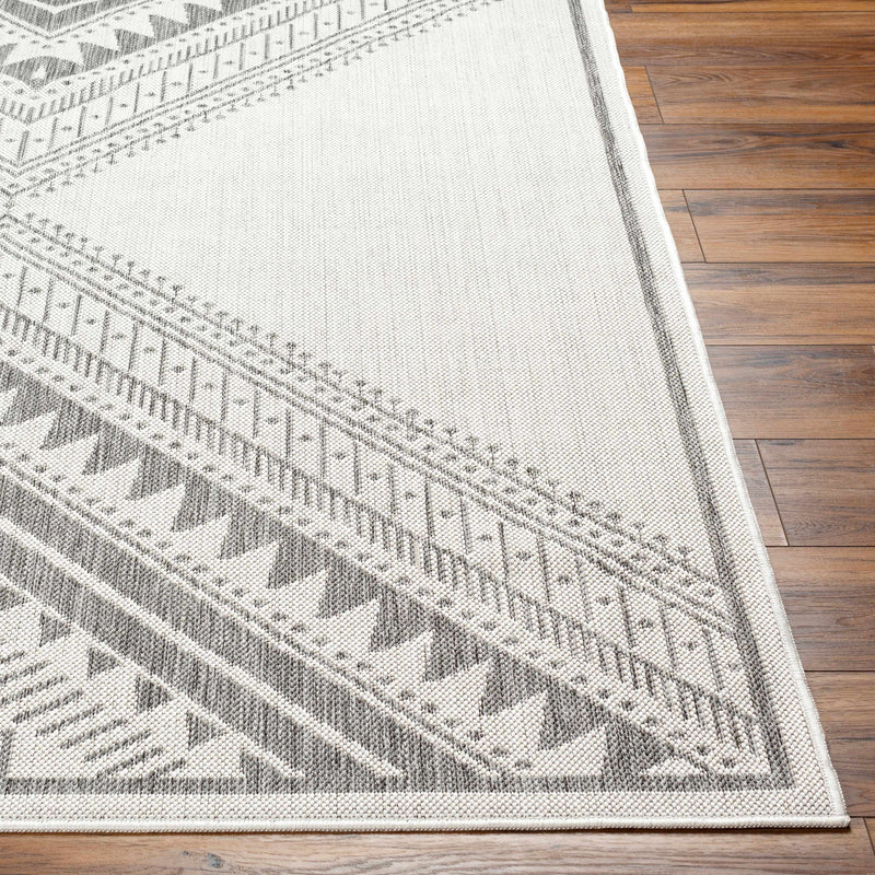 Deana Light Gray Outdoor Area Rug - Clearance by Boutique Rugs