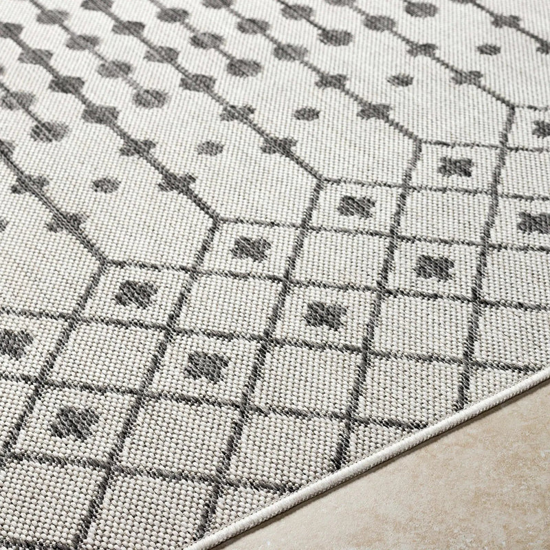 Lali Light Gray Outdoor Area Rug - Clearance by Boutique Rugs