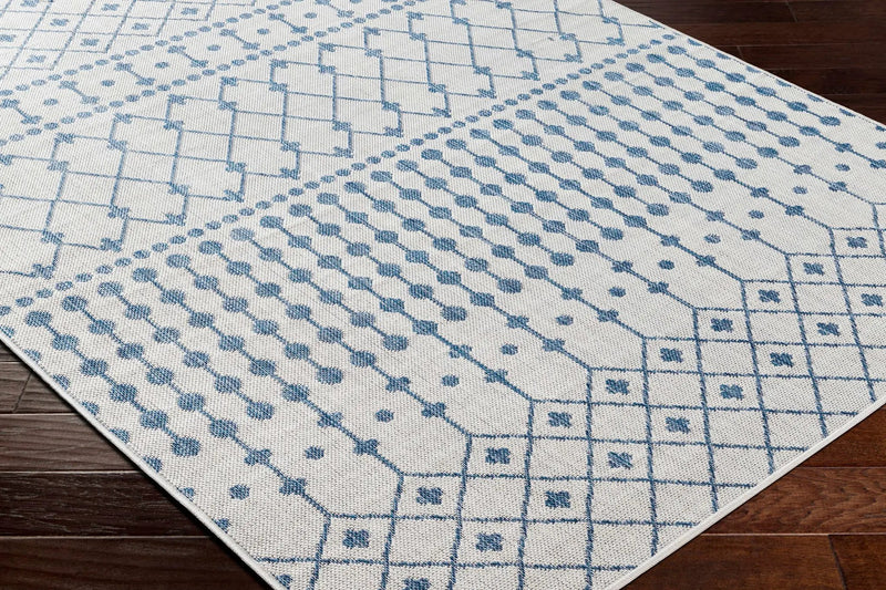 Lali Blue & Gray Outdoor Area Rug - Clearance by Boutique Rugs