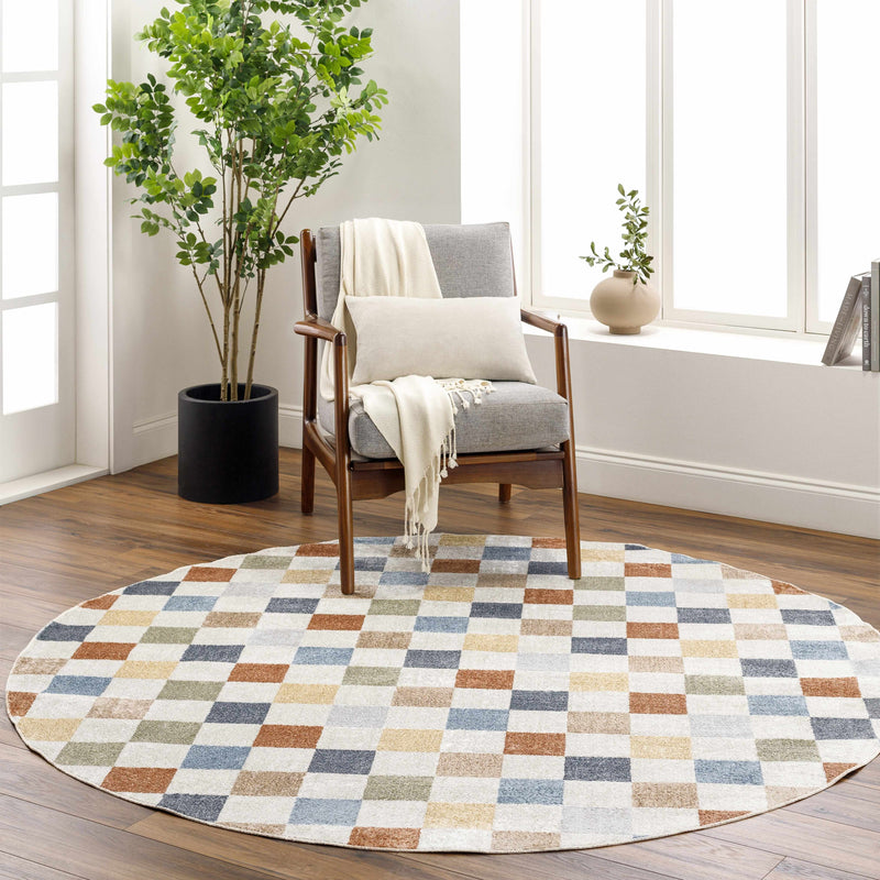 Alie Colorful Checkered Washable Rug by Boutique Rugs