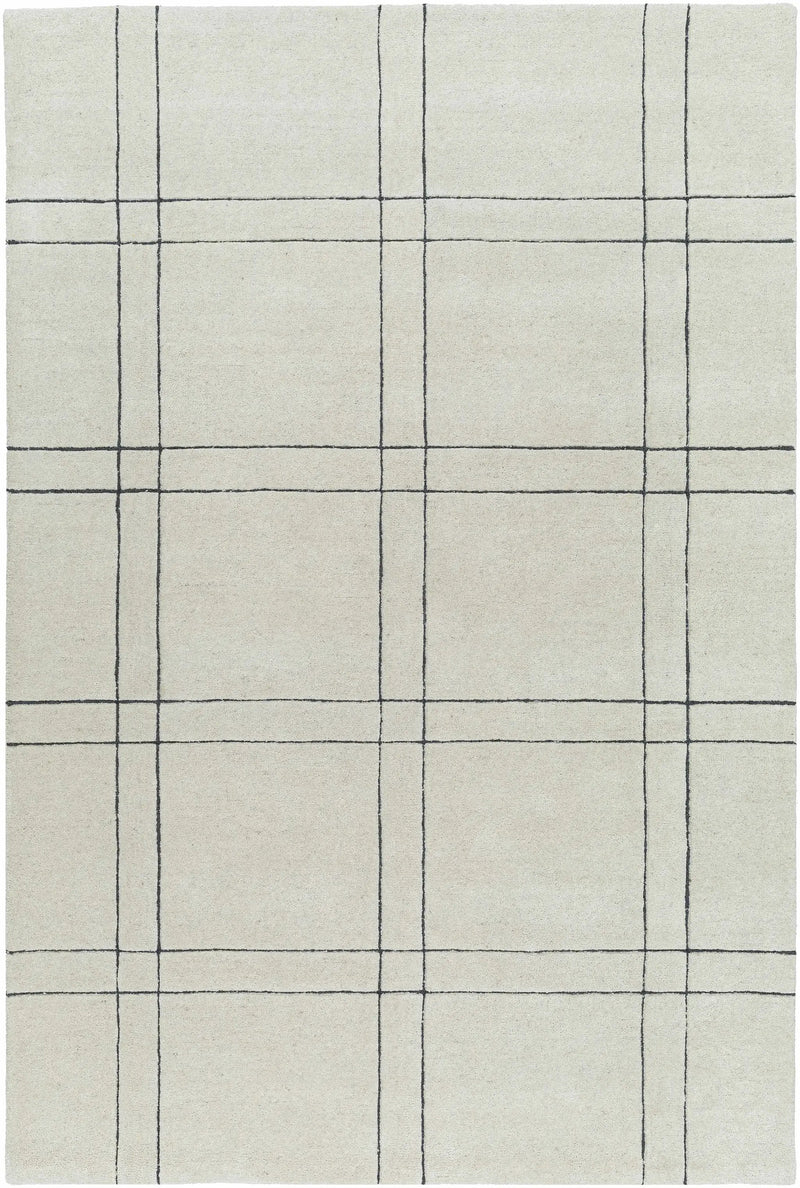Sixto Beige Area Rug - Clearance by Boutique Rugs