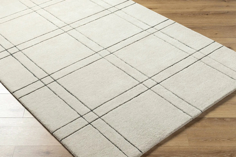 Sixto Beige Area Rug - Clearance by Boutique Rugs