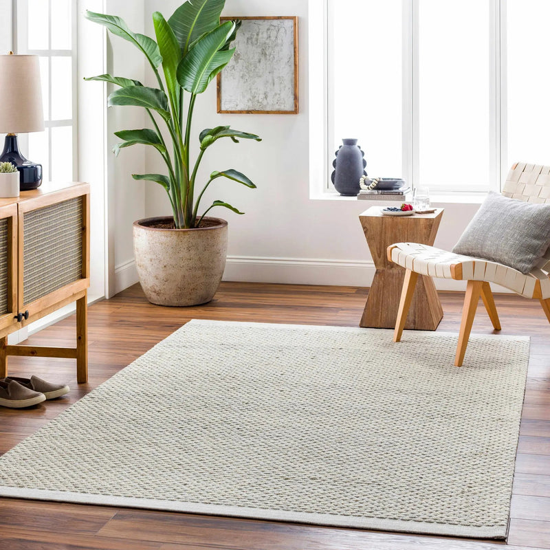 Cream Emlen Area Rug - Clearance by Boutique Rugs