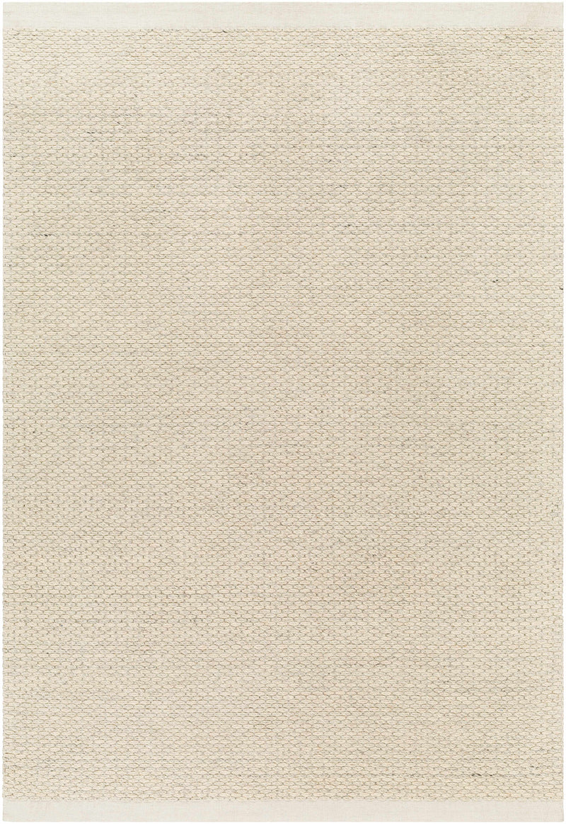 Beige Emlen Area Rug - Clearance by Boutique Rugs