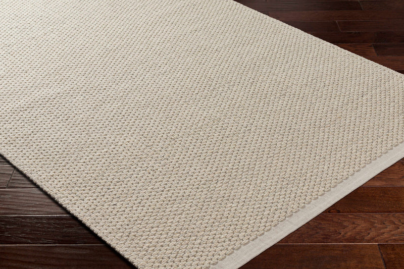 Beige Emlen Area Rug - Clearance by Boutique Rugs