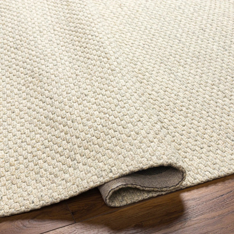 Beige Emlen Area Rug - Clearance by Boutique Rugs