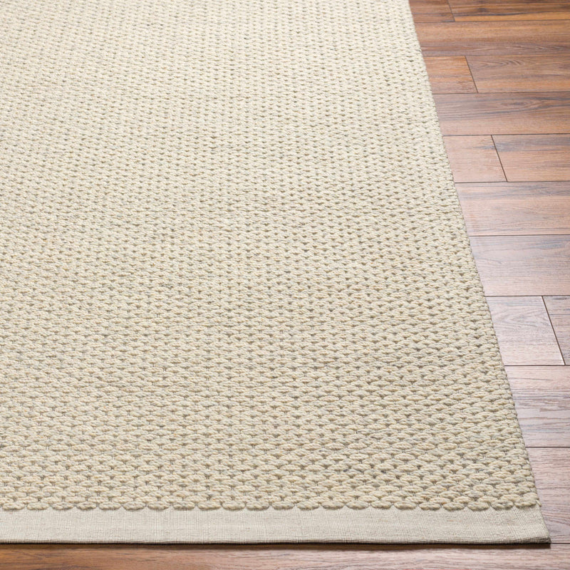 Beige Emlen Area Rug - Clearance by Boutique Rugs
