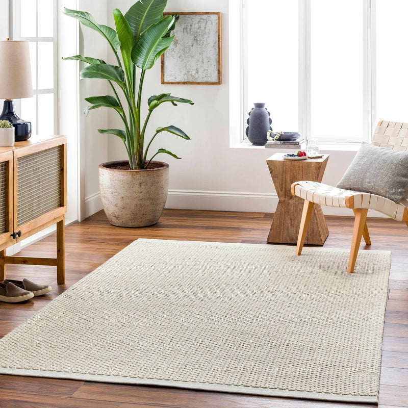 Beige Emlen Area Rug - Clearance by Boutique Rugs