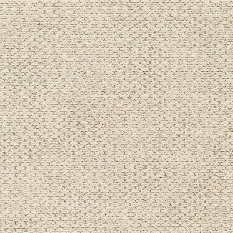 Beige Emlen Area Rug - Clearance by Boutique Rugs