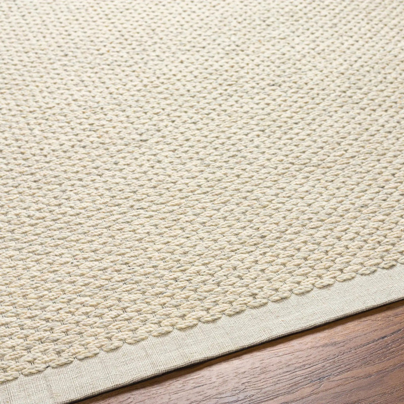 Beige Emlen Area Rug - Clearance by Boutique Rugs