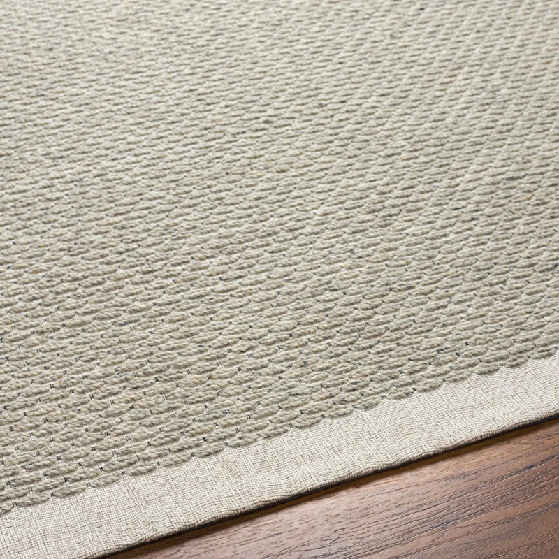 Light Brown Emlen Area Rug - Clearance by Boutique Rugs