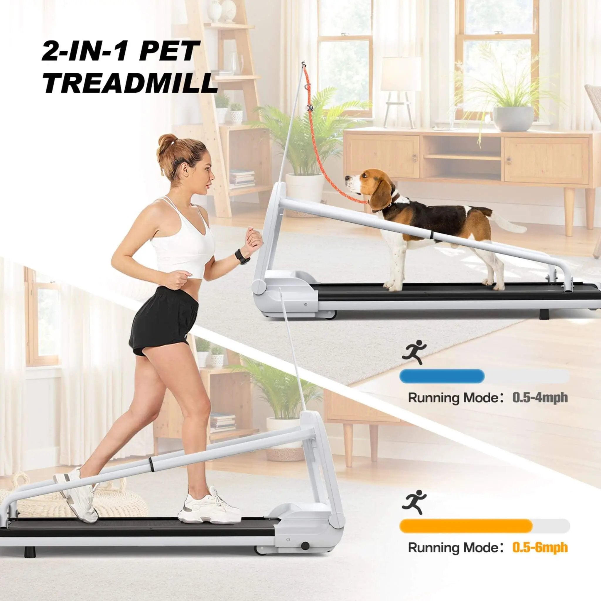 Smart Pet Treadmill With Adjustable Speed For Small And Medium Dogs (SAK72537) by SAKSBY WHOLESALE