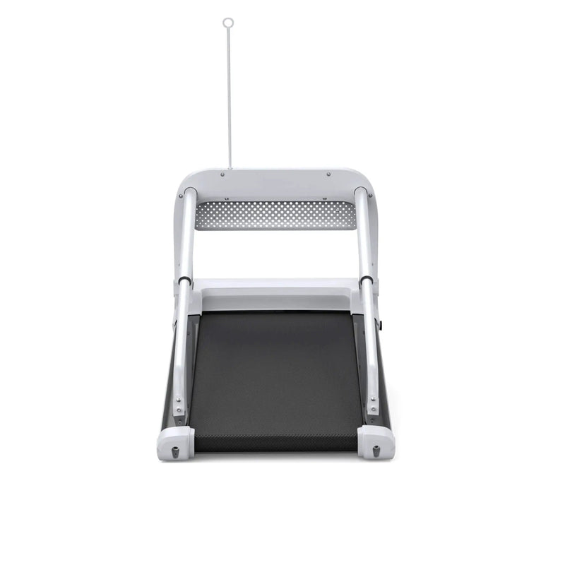 Smart Pet Treadmill With Adjustable Speed For Small And Medium Dogs (SAK72537) by SAKSBY WHOLESALE