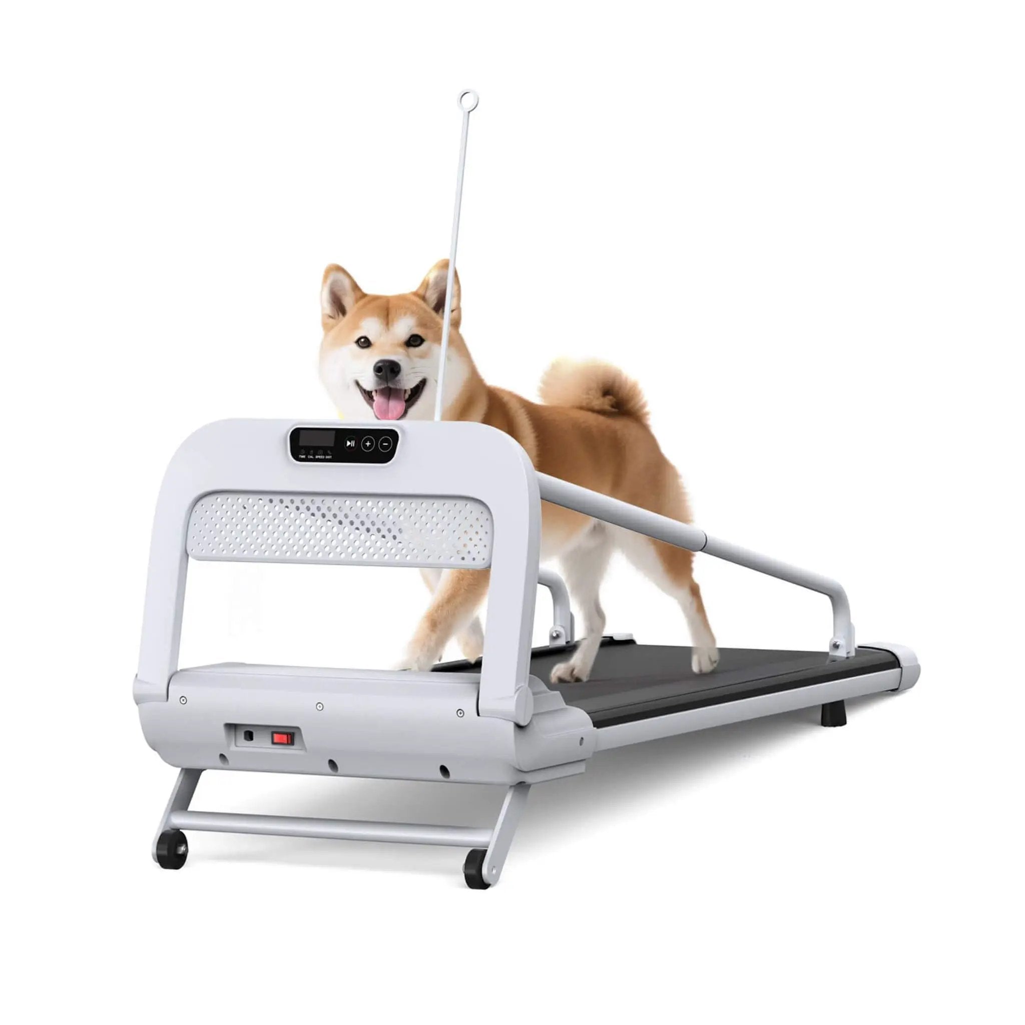 Smart Pet Treadmill With Adjustable Speed For Small And Medium Dogs (SAK72537) by SAKSBY WHOLESALE