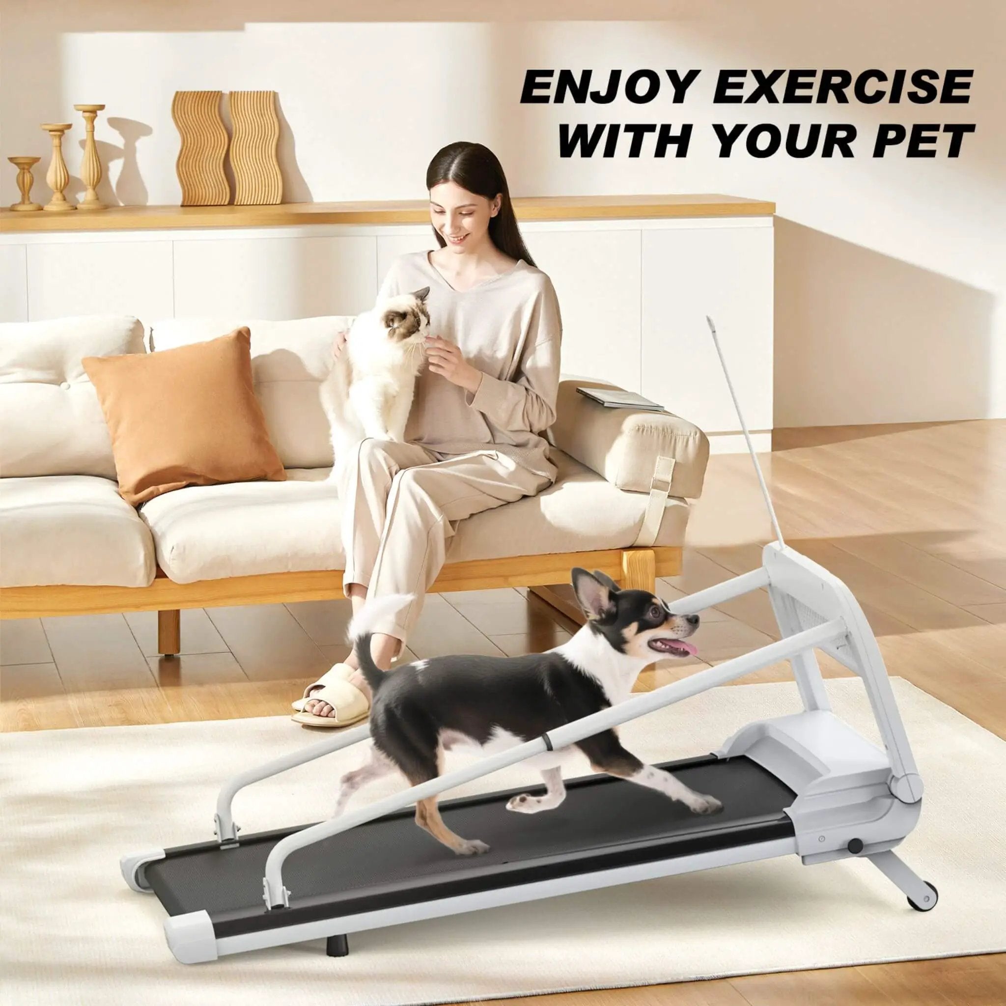 Smart Pet Treadmill With Adjustable Speed For Small And Medium Dogs (SAK72537) by SAKSBY WHOLESALE