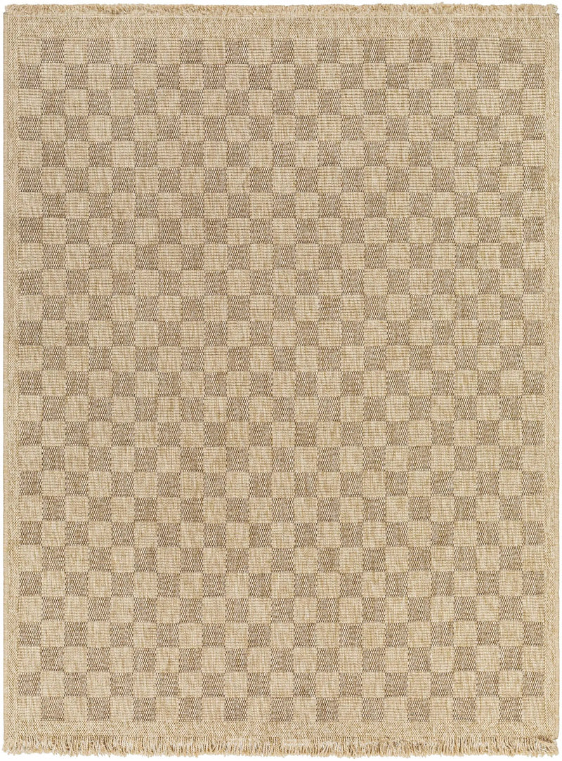 Jurek Beige Checkered Outdoor Area Rug by Boutique Rugs