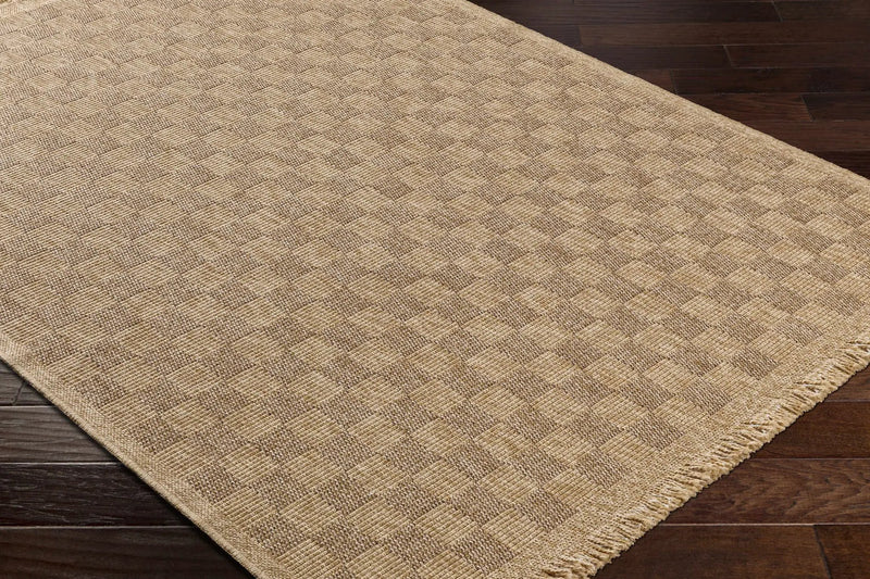 Jurek Beige Checkered Outdoor Area Rug by Boutique Rugs