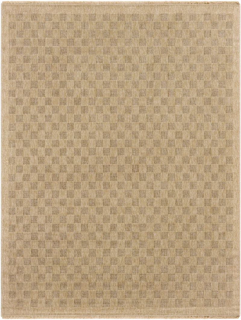 Jurek Beige Checkered Outdoor Area Rug by Boutique Rugs