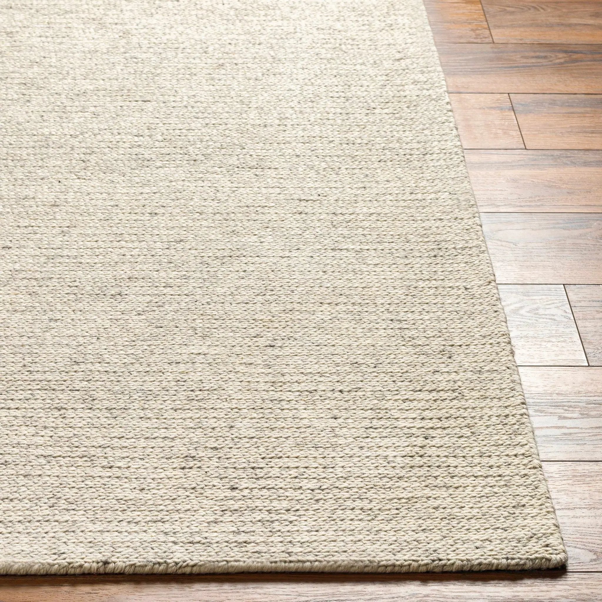 Alyra Beige Solid Area Rug - Clearance by Boutique Rugs