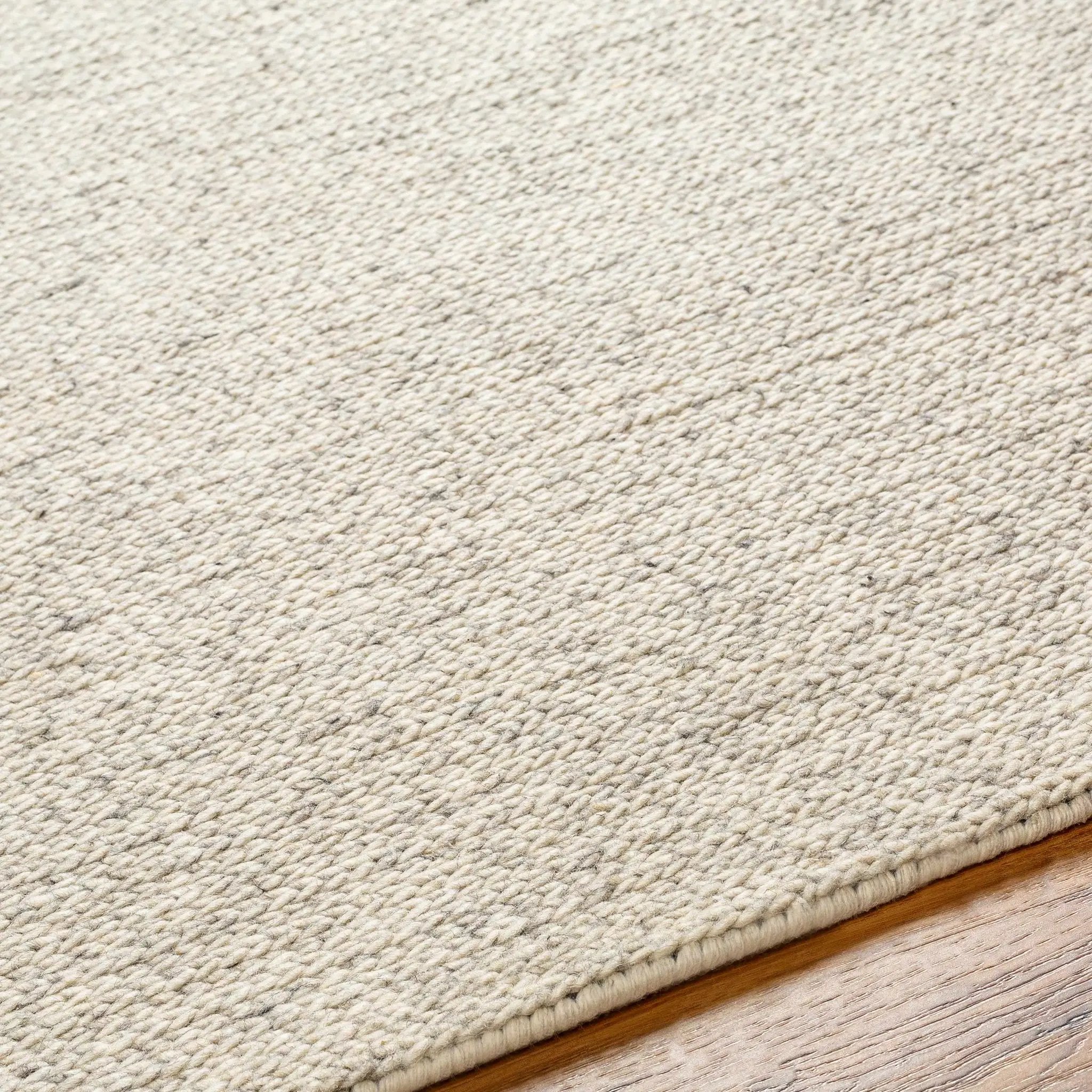 Alyra Beige Solid Area Rug - Clearance by Boutique Rugs
