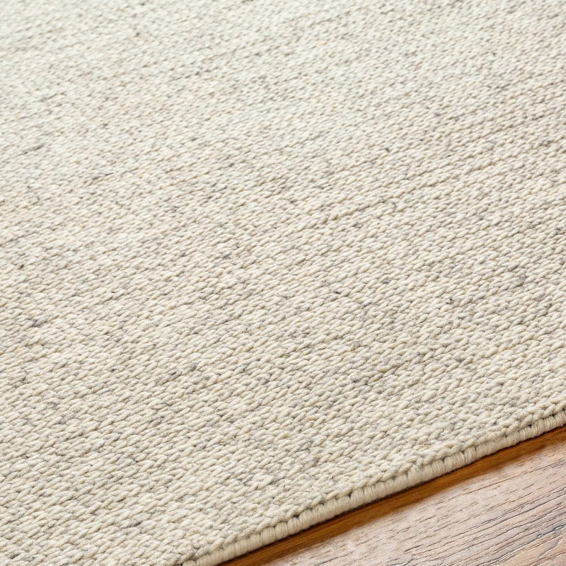 Alyra Beige Solid Area Rug - Clearance by Boutique Rugs