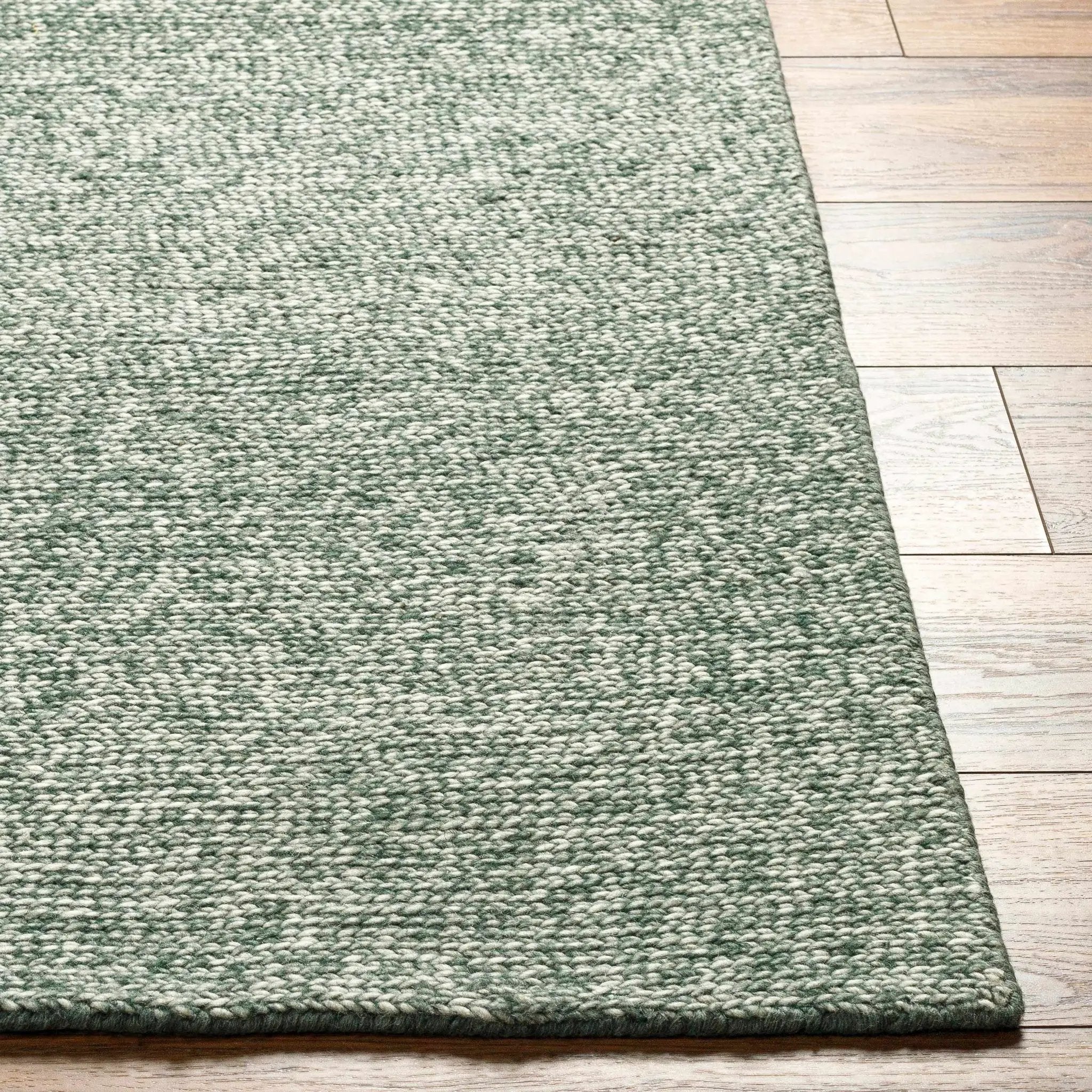 Alyra Green Solid Area Rug by Boutique Rugs
