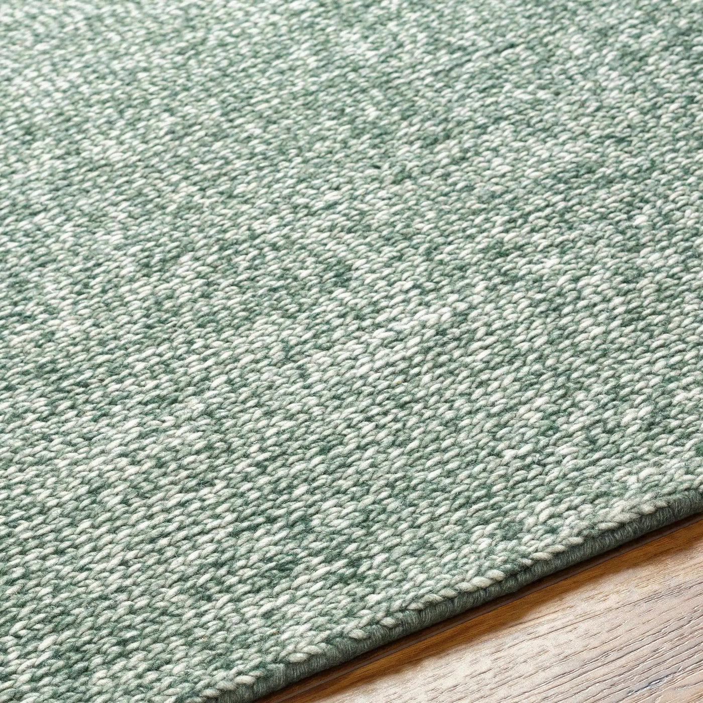 Alyra Green Solid Area Rug by Boutique Rugs