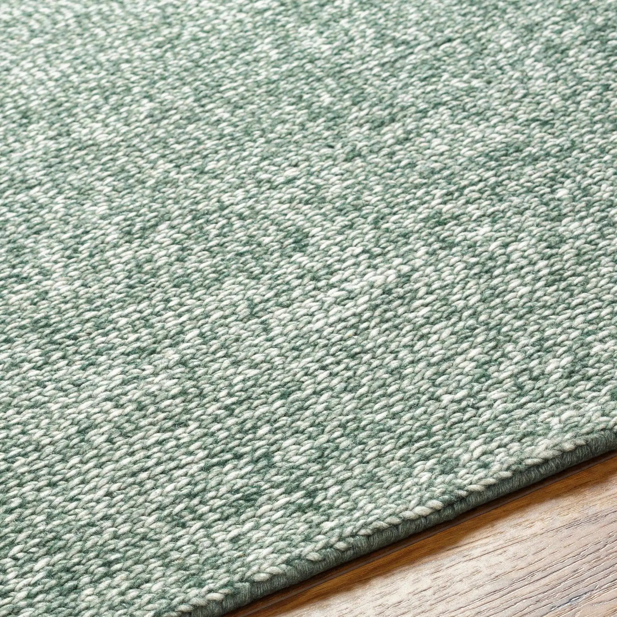 Alyra Green Solid Area Rug by Boutique Rugs