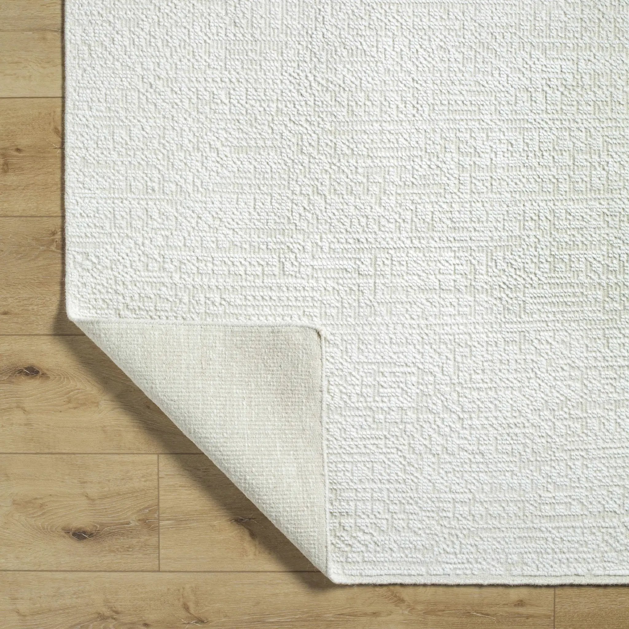 Aniya Area Rug - Clearance by Boutique Rugs
