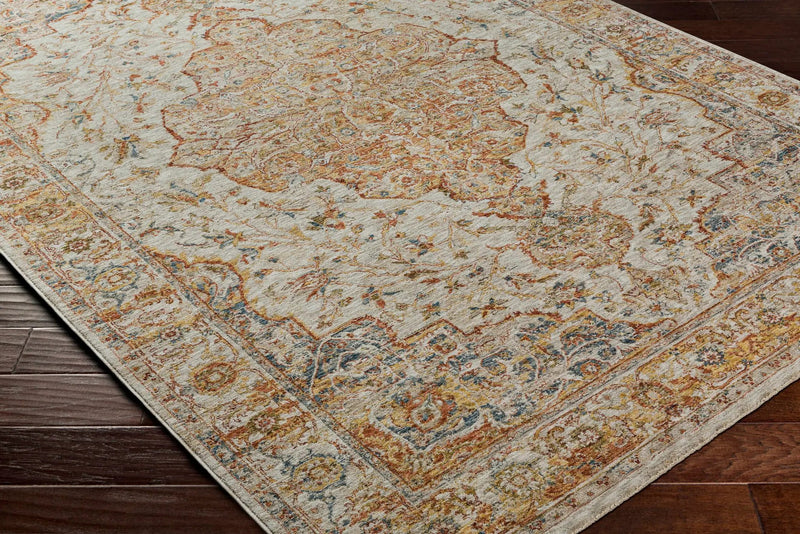 Aman Beige Area Rug - Clearance by Boutique Rugs