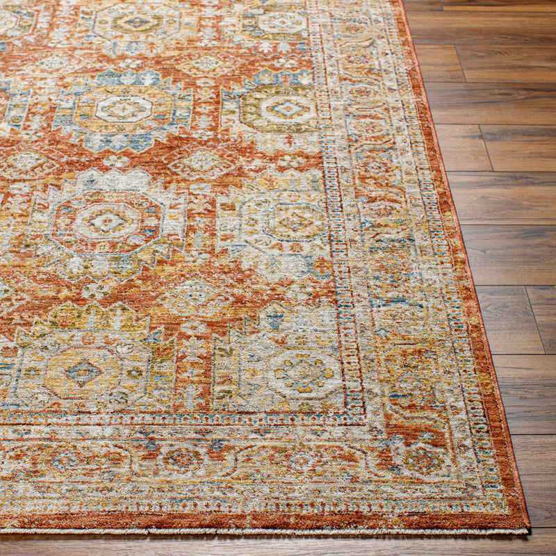 Crescentia Rust Area Rug - Clearance by Boutique Rugs