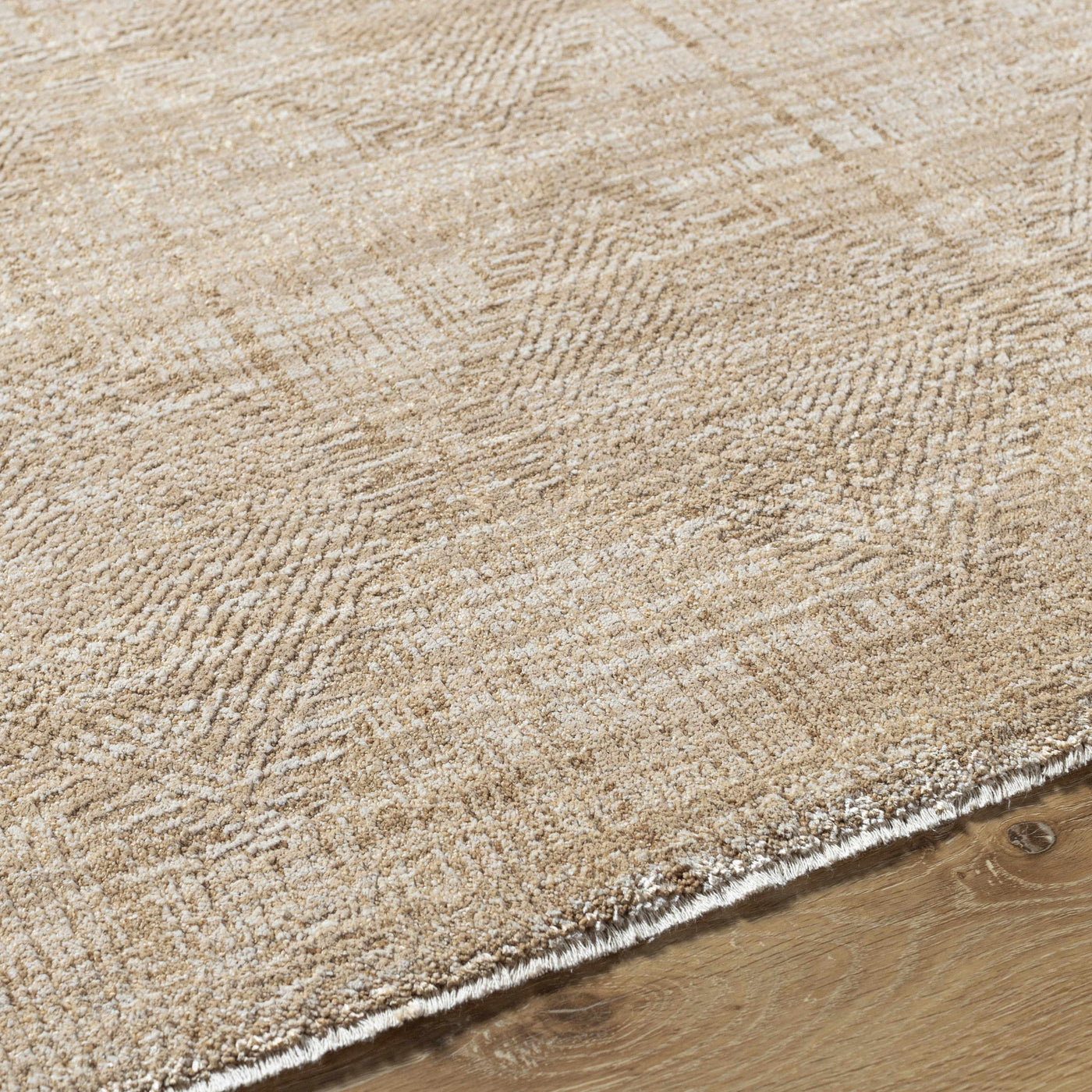 Dekan Tan Area Rug by Boutique Rugs
