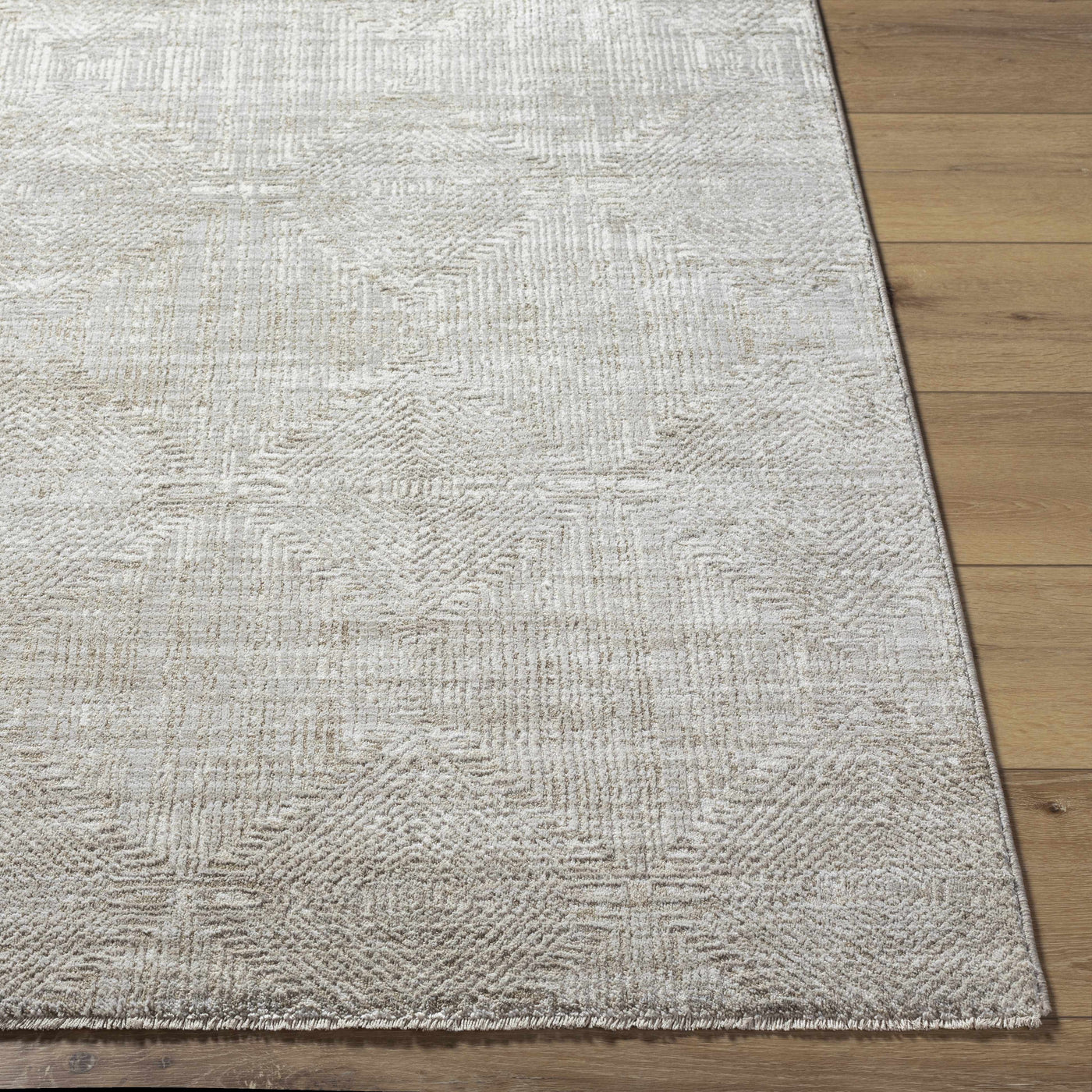 Dekan Area Rug by Boutique Rugs