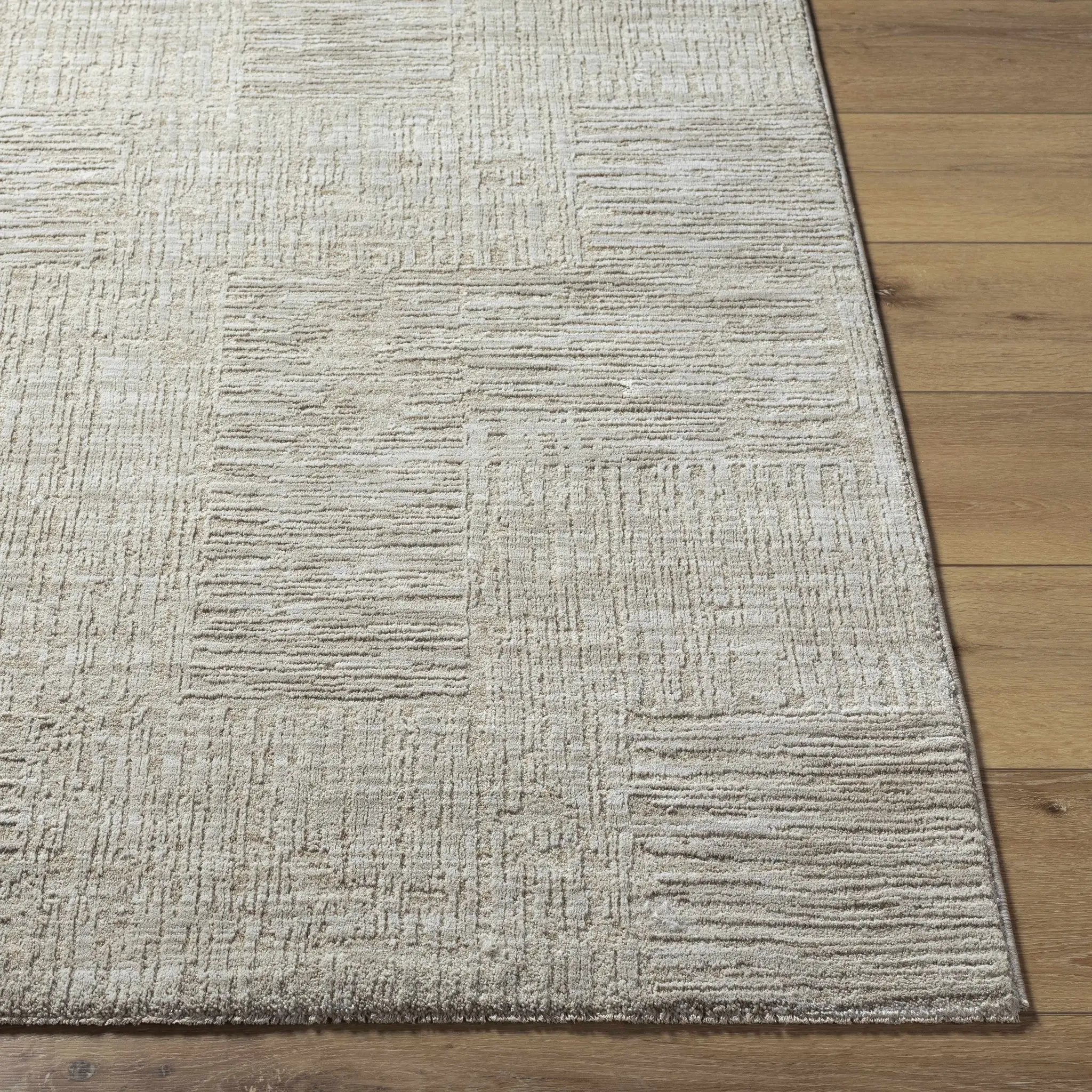 Goren Gray Area Rug by Boutique Rugs