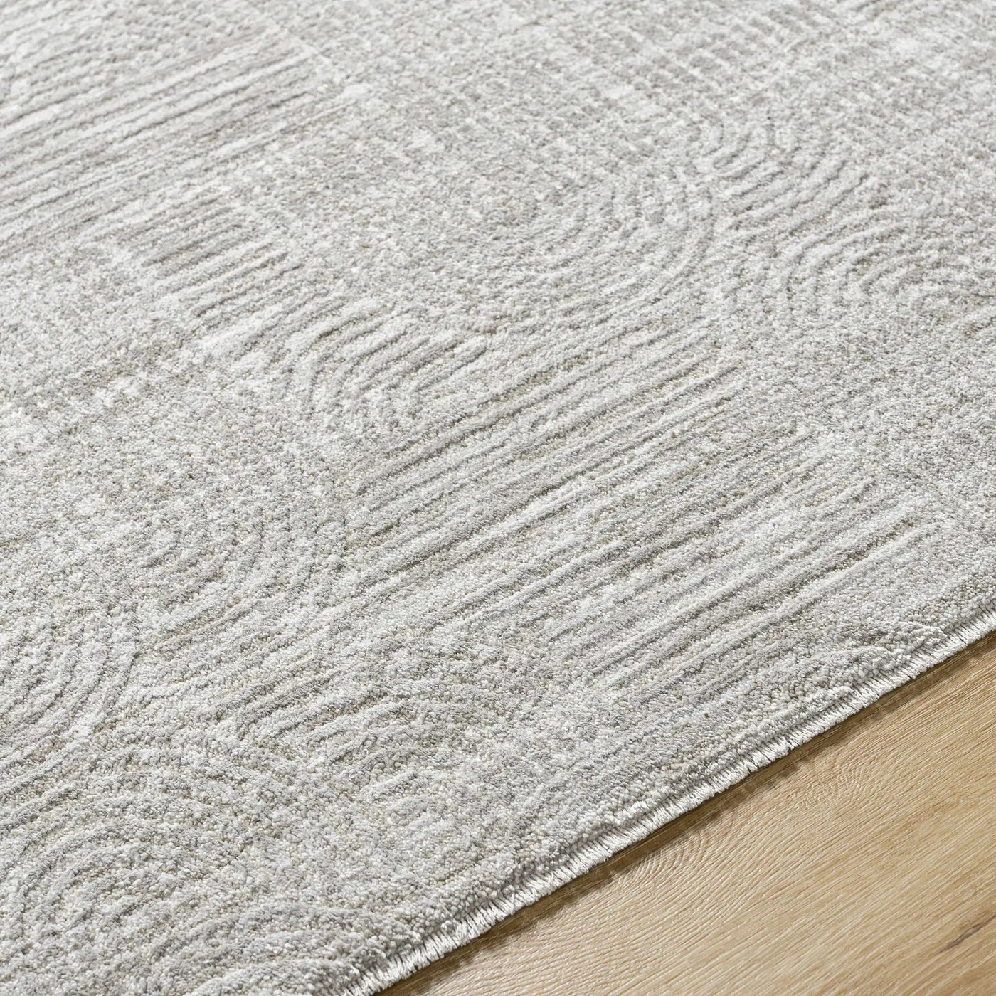 Harva Area Rug by Boutique Rugs