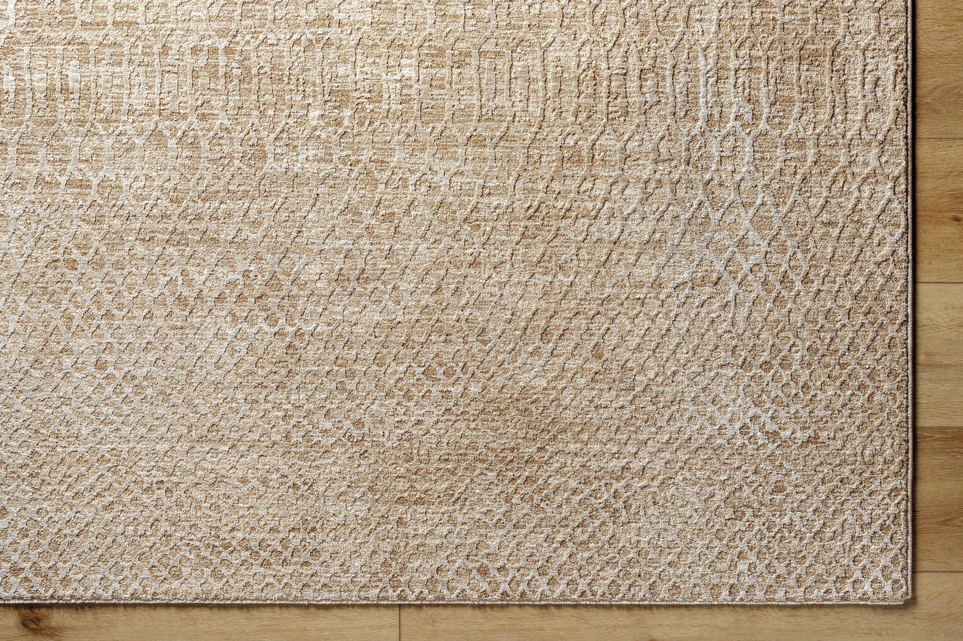 Kamin Area Rug by Boutique Rugs
