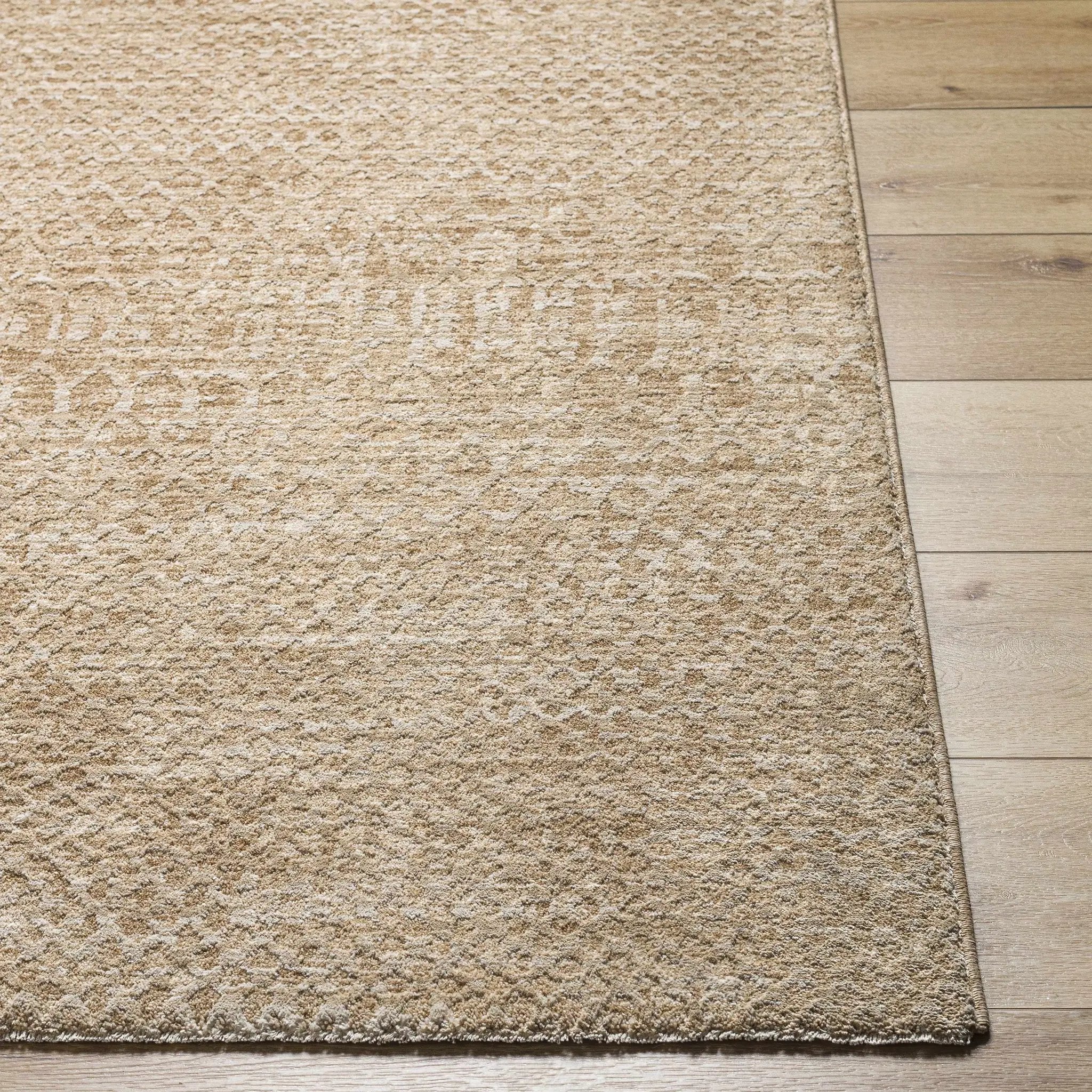 Kamin Area Rug by Boutique Rugs