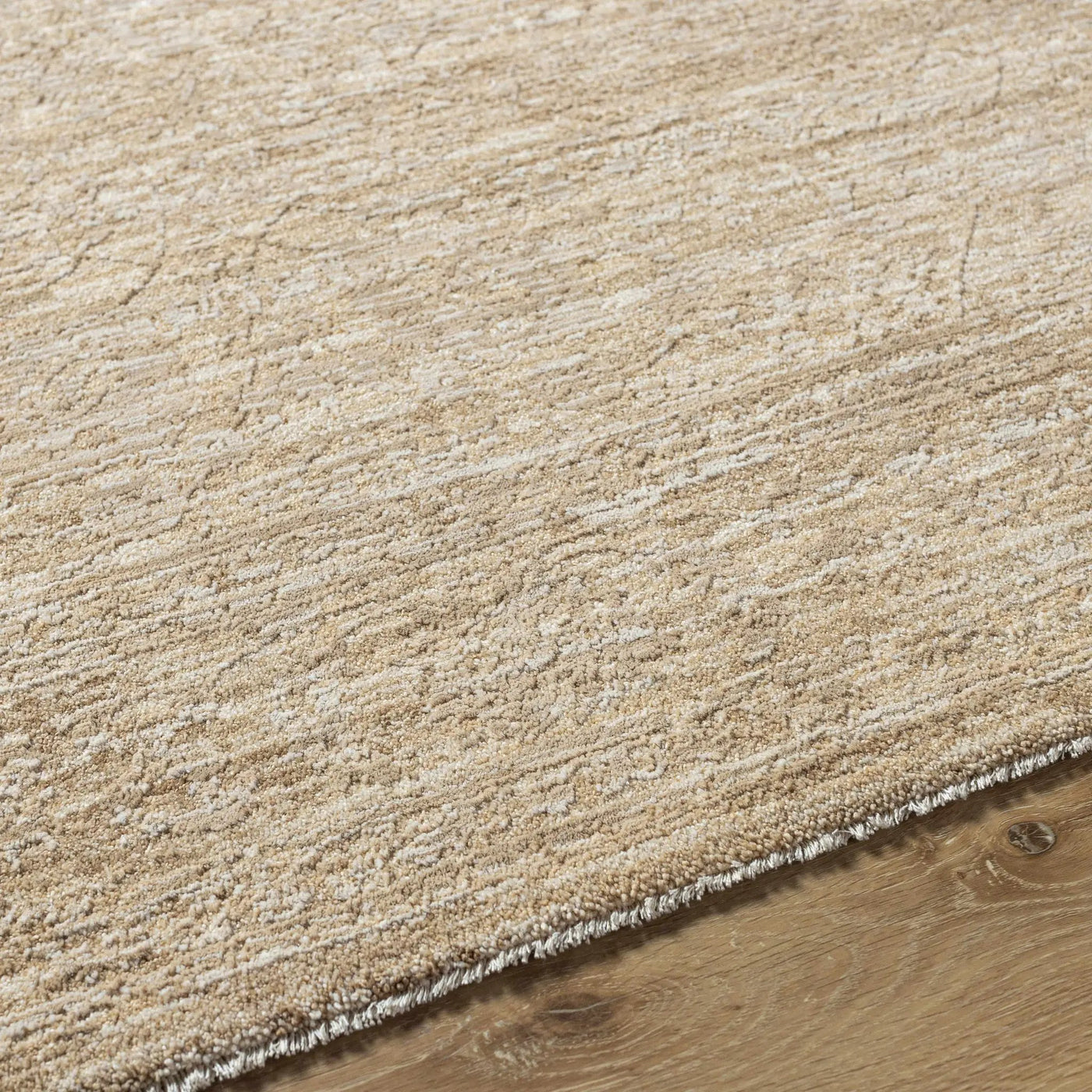 Kyran Tan Area Rug by Boutique Rugs