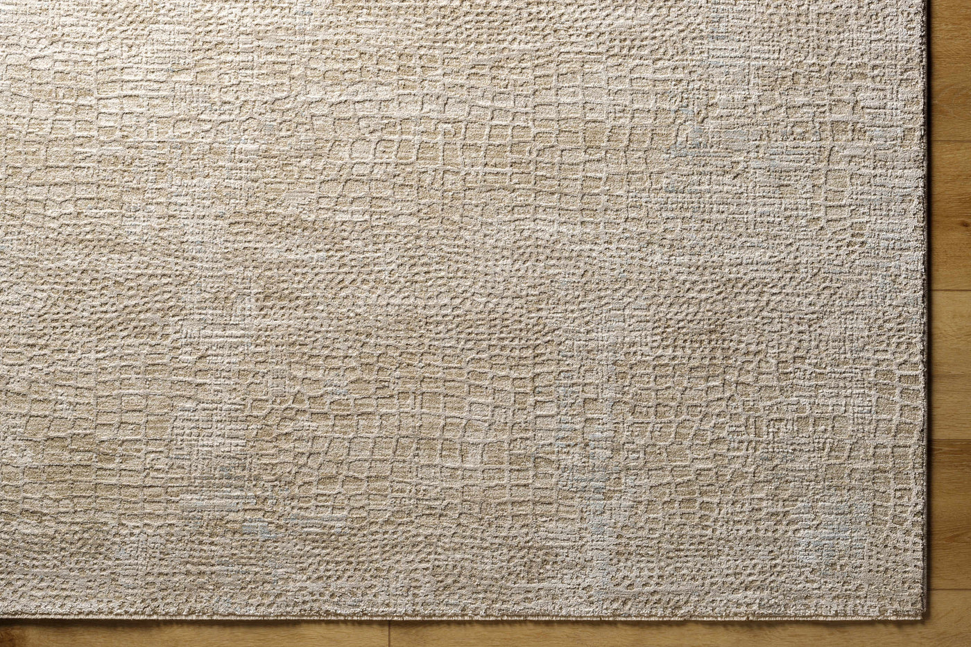 Laina Area Rug by Boutique Rugs
