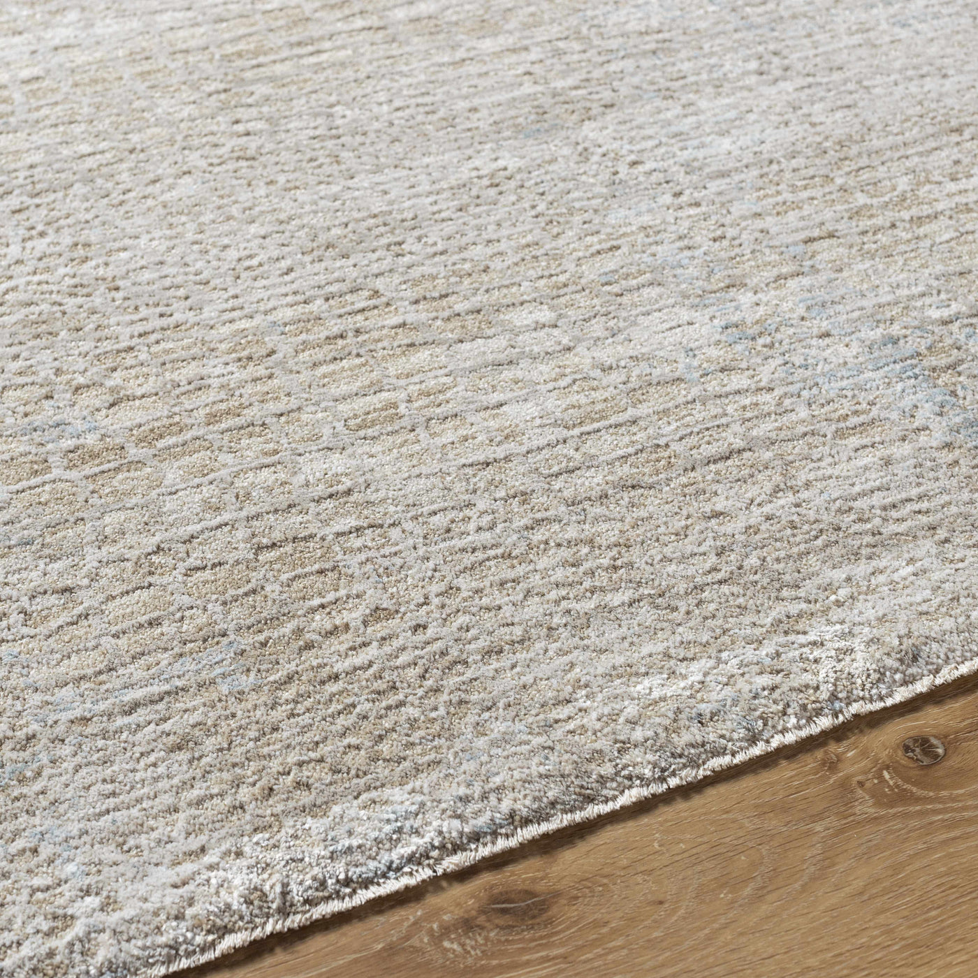 Laina Area Rug by Boutique Rugs
