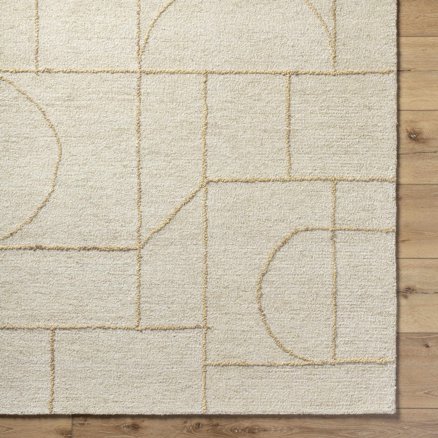 Sanaz Ivory Area Rug by Boutique Rugs