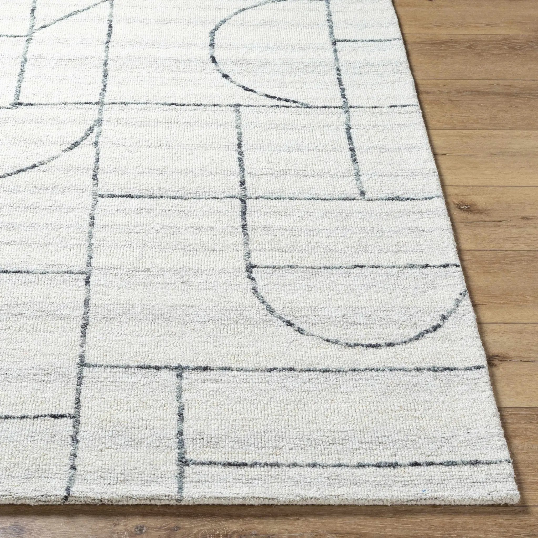 Sanaz Charcoal Area Rug - Clearance by Boutique Rugs