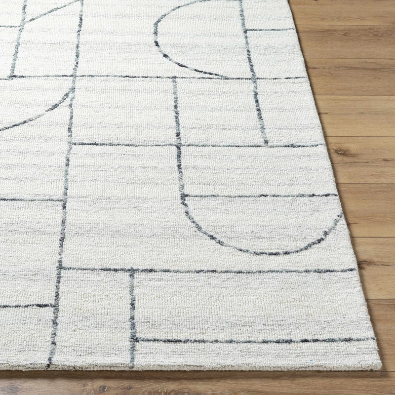 Sanaz Charcoal Area Rug - Clearance by Boutique Rugs